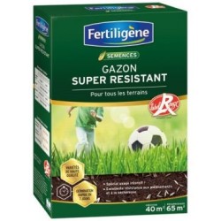 Gazon super résistant Label Rouge 40m² 1kg
