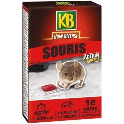 Home defense souris pâte 12x10g /nc