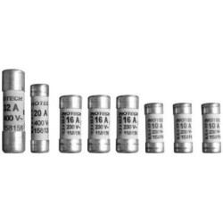 Fusible a voyant NF ASSORTIS x8 sc