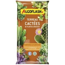 Terreau cactées et plantes grasses 6l