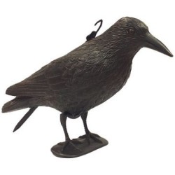 Corbeau éffaroucheur sol ou suspendu