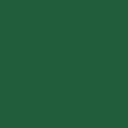Lot 12 serviettes 40 x 40 cm Vert - Dunisoft Bio