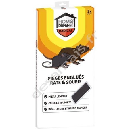 Pièges rats et souris englués x2