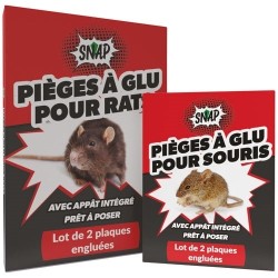 Glu anti rats Rakao lot de 2 plaques