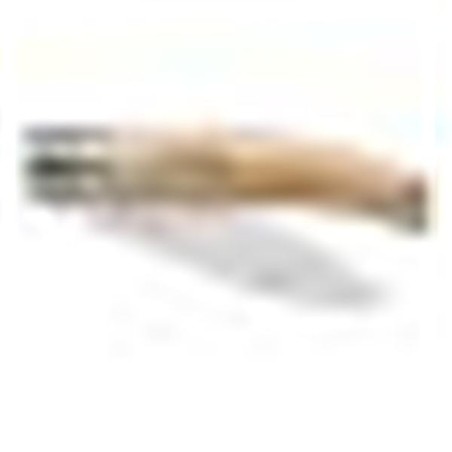 COUTEAU JARDIN N° 8 INOX