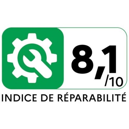 Aspirateur à main 14,8 V - Blaster F130 - BLASTERF130