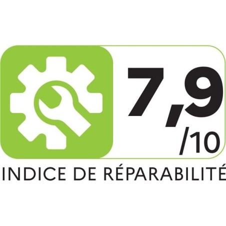Aspirateur à main - Extenso cyclonic - AC4461