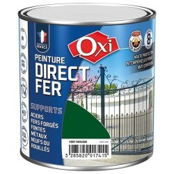 Directe fer lisse vert mousse 0.5l