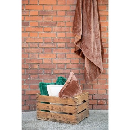 BOUILLOTTE TENDER CREME 23X33