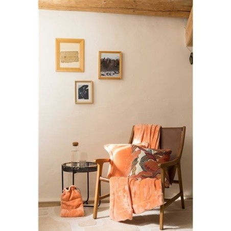BOUILLOTTE TENDER PAPAYE 23X33