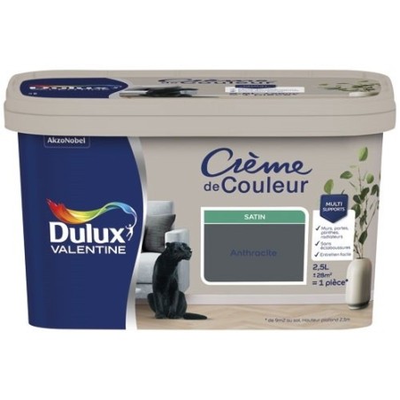 Peinture 2.5 L Crème de Couleur Satin - Anthracite