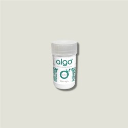 Testeur de peinture déco ours blanc arctique 50 ml