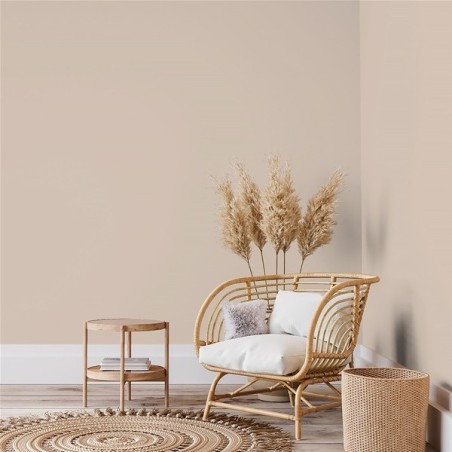 Peinture intérieure multi supports 0,5 L Velours - Beige Sable