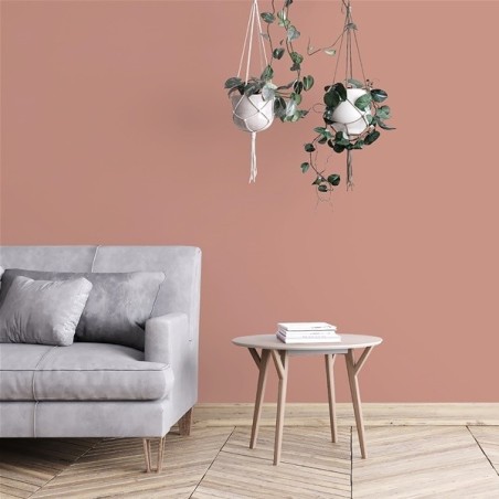 Peinture intérieure multi supports 0,5 L Velours - Rose Bréhat