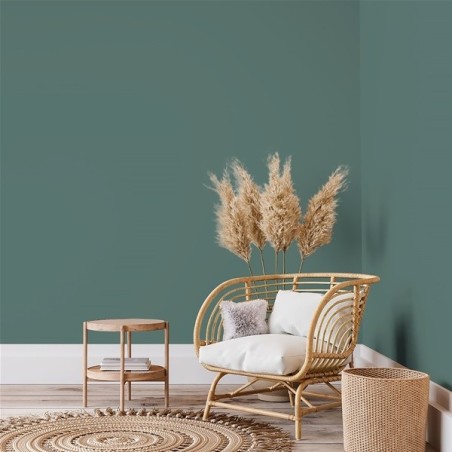 Peinture intérieure multi supports 0,5 L Velours - Bleu Vert Coquet