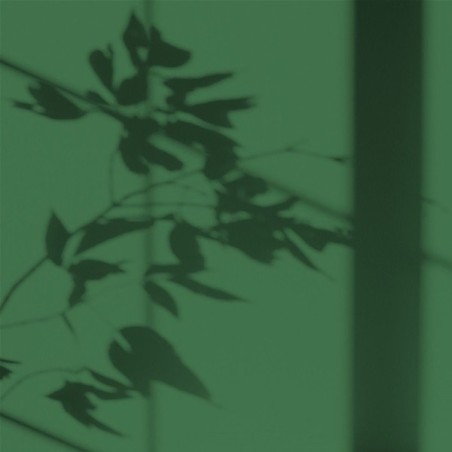 Peint.intér.déco multi-supports vert sapin du jura satin 0.5 L