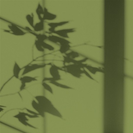 Peint.intér.déco multi-supports vert olive de méditerrannée mat 2 L