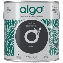 Peinture intérieure multi supports 2 L Velours - Noir Piana