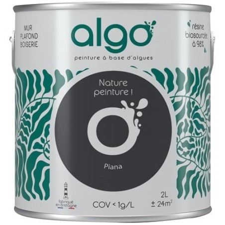 Peinture intérieure multi supports 2 L Velours - Noir Piana