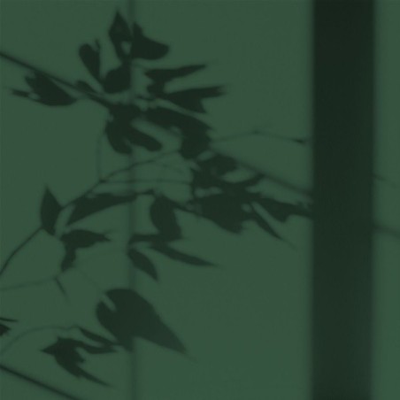 Peint.intér.déco multi-supports vert forêt de pins velours 2 L