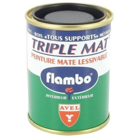 Triple mat peinture Flambo 100ml noir