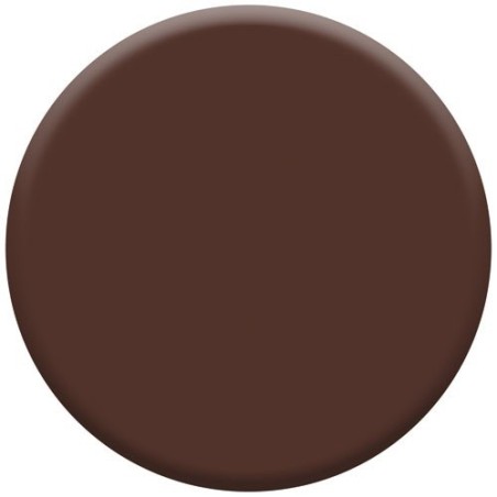 Bombe peinture 400 ml Color Touch Brillant - Brun Chataîgne