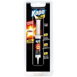 Cafards / blattes seringue 10g