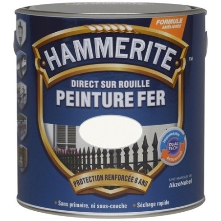 Peinture fer 2,5 L Brillant Laqué - Blanc