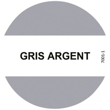 Peinture fer 3 en 1 intérieur et extérieur 2,5 L Brillant - Gris Argent