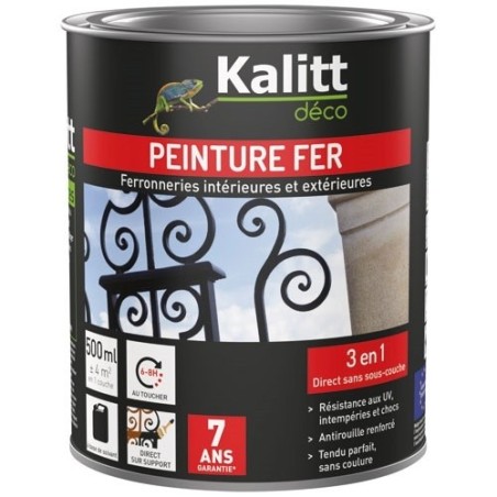Peinture fer 3 en 1 intérieur et extérieur 0,5 L Brillant - Gris Argent