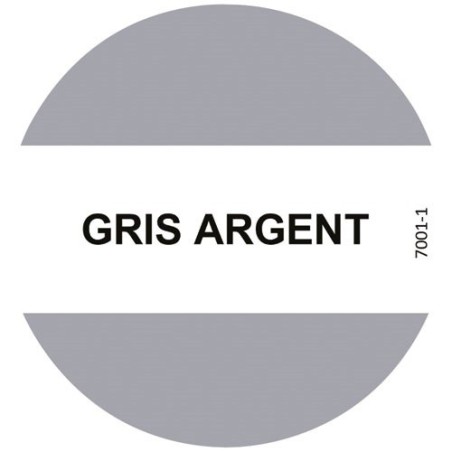Peinture fer 3 en 1 intérieur et extérieur 0,5 L Brillant - Gris Argent