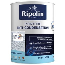 Peinture anti-condensation 0,75 L Mat - Blanc
