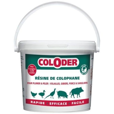 Saniterpen coloder résine de colophane 3.5kg
