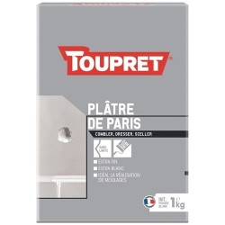 Platre de paris intérieur poudre 1kg blanc