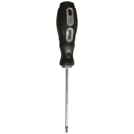 Tournevis torx tt10 4.0 x 100 mm