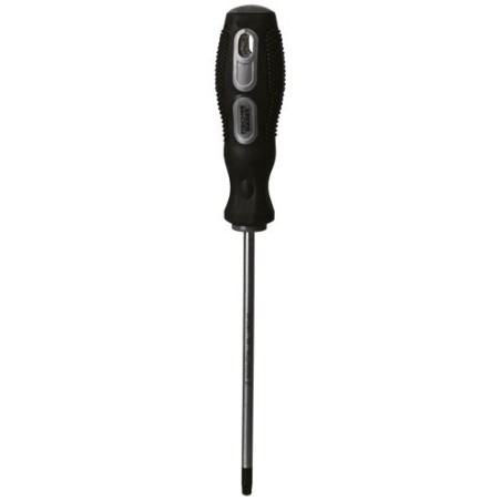 Tournevis torx tt25 5.0 x 125 mm