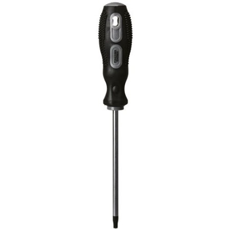 TOURNEVIS TORX TT10 6.0 X 125 MM