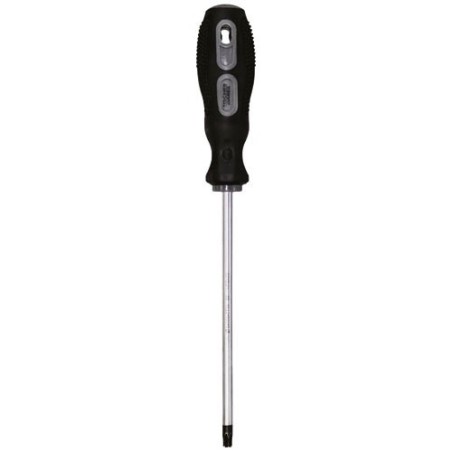 Tournevis lame chrome molybdene s2 tt30 xl150mm x6mm