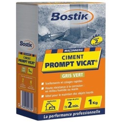 Ciment prompt Vicat 1kg