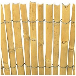 Canisse roseau fil galv.1.5m x5m
