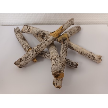 Lot de 5 bûches décoratives imitation bouleau pour cheminée électrique